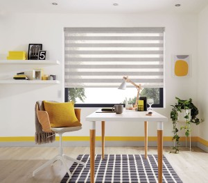 Vision Blinds: 2019_LL_Vision_Lazio_Birch_70mm_Study_Main_WEB