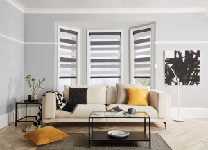 Vision Blinds: 2019_LL_Vision_Trieste_Mercury_70mm_Liv_Main_Open_WEB