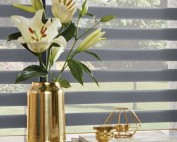 Vision Blinds. Fitted in Ipswich, Suffolk East Anglia