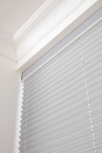Conservatory blinds: LL_2019_Pleated_Festival_ESP_Lunar_Dine_Cameo_Mail