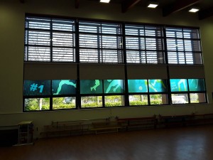Ravenswood Primary School gym blinds
