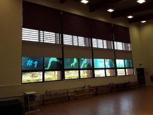 Ravenswood Primary School gym blinds